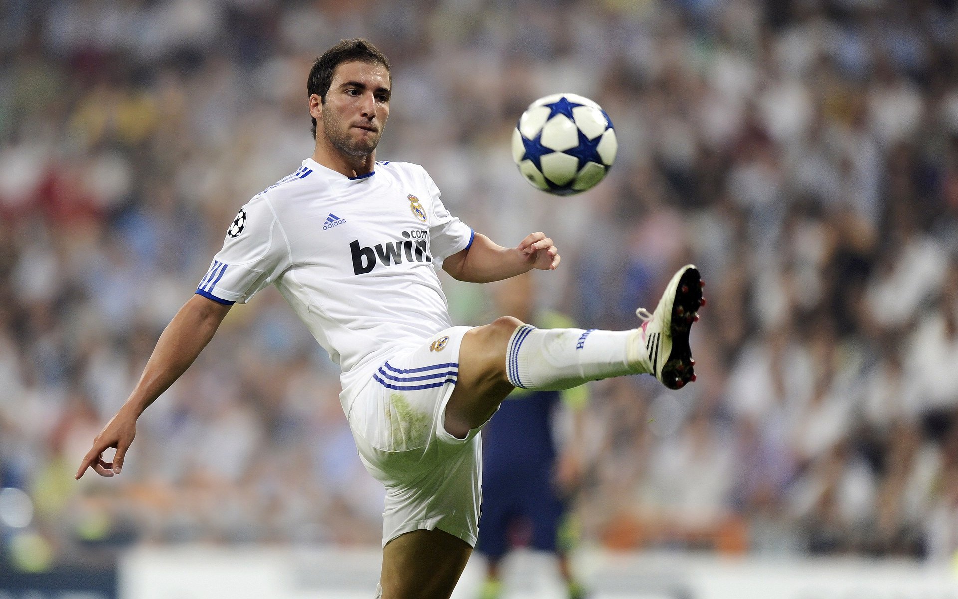 体育产业迎来新机遇，政策扶持与市场潜力双轮驱动