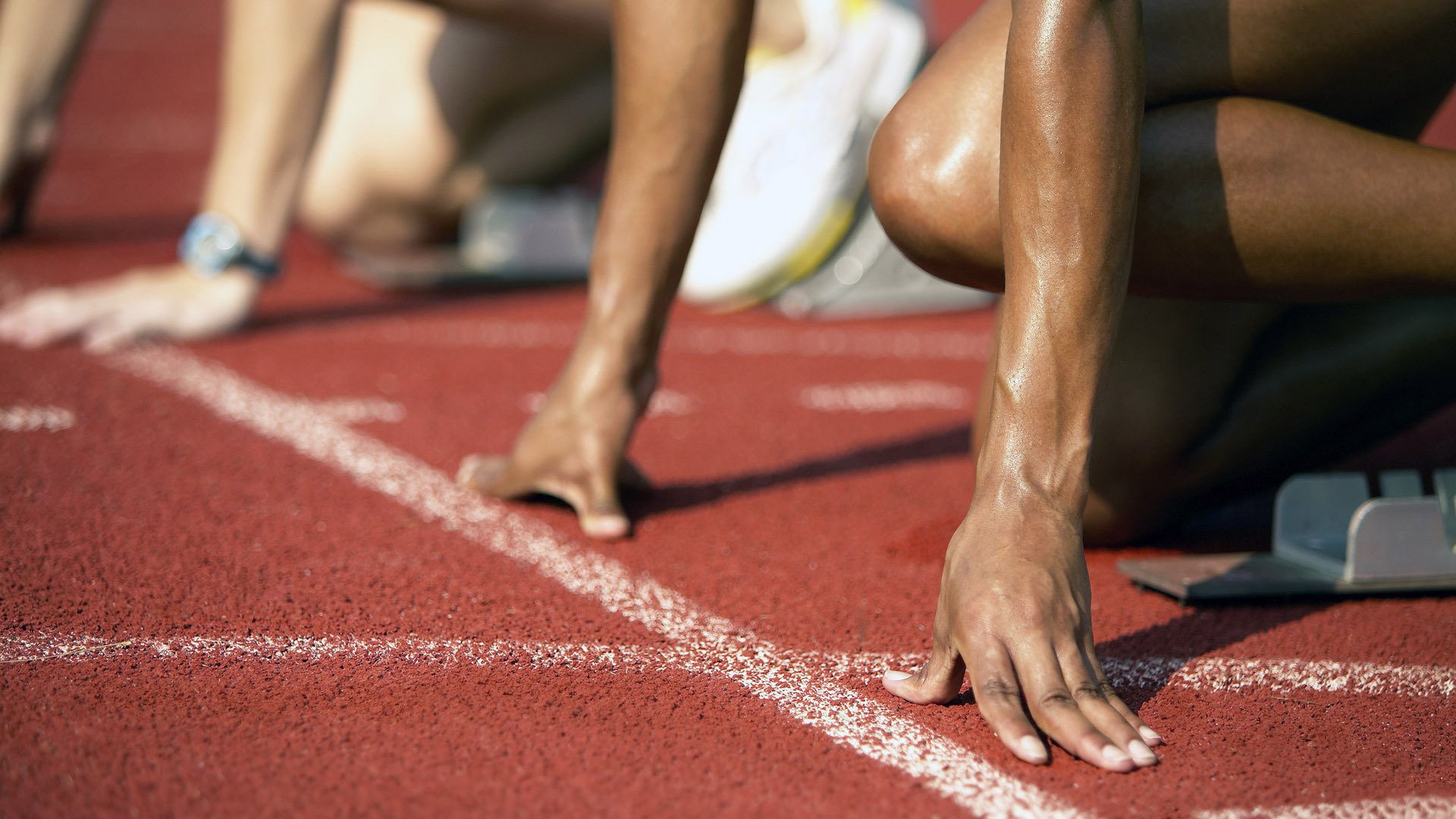 中国跳水梦之队再创辉煌，包揽世锦赛全部金牌